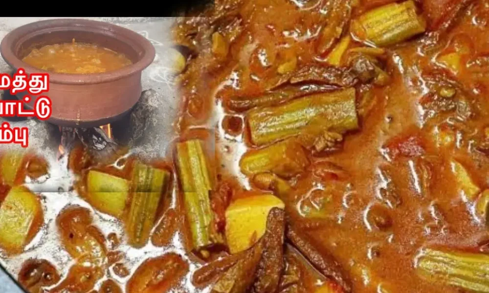 கிராமத்து ஸ்பெஷல் தட்டாம்பயிறு கருவாடு குழம்பு