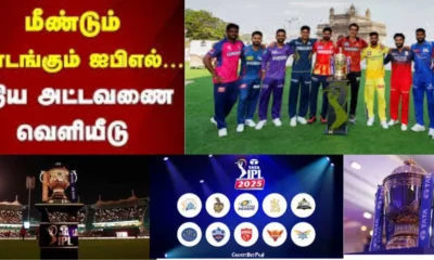 மீண்டும் தொடங்கும் ஐபிஎல்!