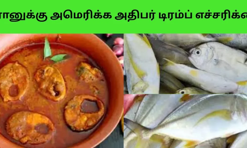 மஞ்சள்பாறை மீன் குழம்பு