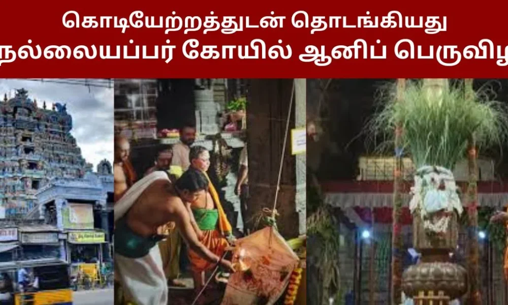 கொடியேற்றத்துடன் தொடங்கியது நெல்லையப்பர் கோயில் ஆனிப் பெருவிழா!