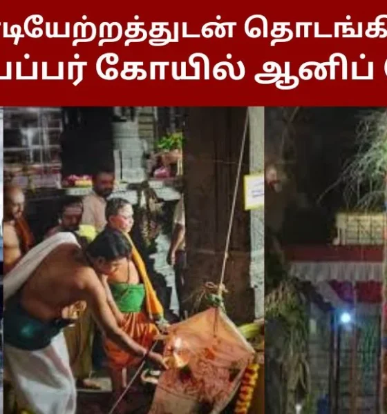 கொடியேற்றத்துடன் தொடங்கியது நெல்லையப்பர் கோயில் ஆனிப் பெருவிழா!