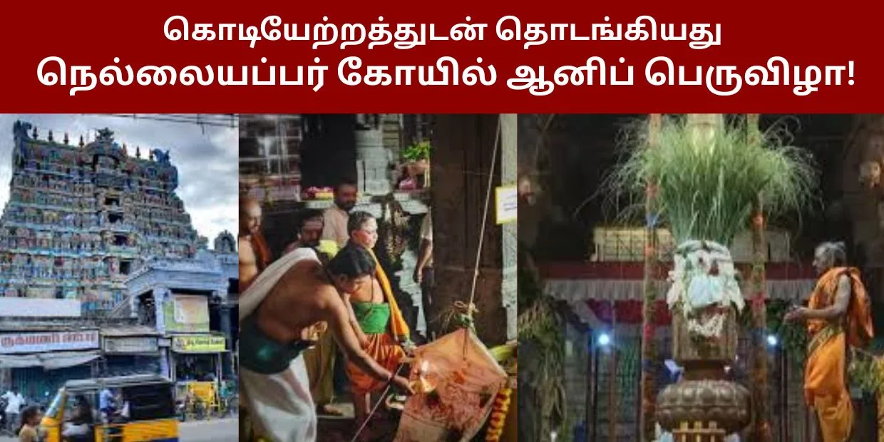 கொடியேற்றத்துடன் தொடங்கியது நெல்லையப்பர் கோயில் ஆனிப் பெருவிழா!