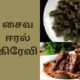 இன்றைய சமையல் : சைவ ஈரல் கிரேவி