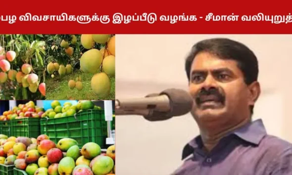 மாம்பழ விவசாயிகளுக்கு இழப்பீடு வழங்க - சீமான் வலியுறுத்தல்!