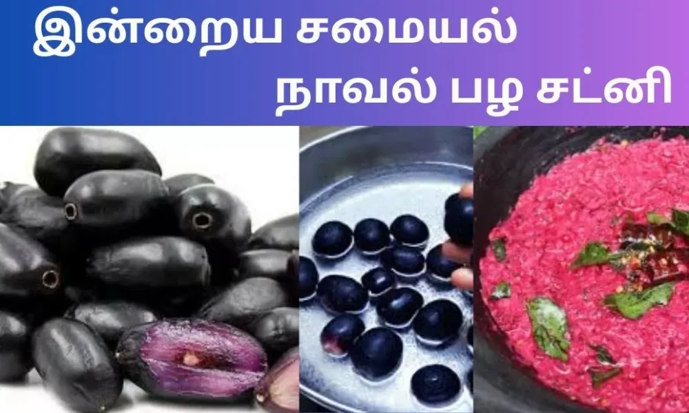 இன்றைய சமையல் நாவல் பழ சட்னி