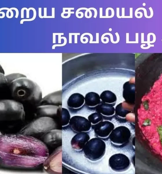 இன்றைய சமையல் நாவல் பழ சட்னி