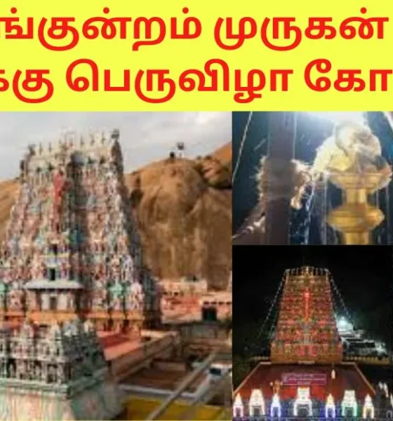 திருப்பரங்குன்றம் முருகன் கோயில் குடமுழுக்கு பெருவிழா கோலாகலம்!