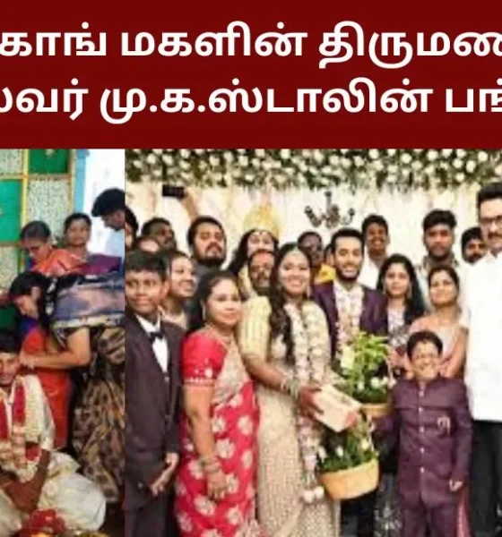 நடிகர் கிங்காங் மகளின் திருமண வரவேற்பு - முதல்வர் மு.க.ஸ்டாலின் பங்கேற்பு
