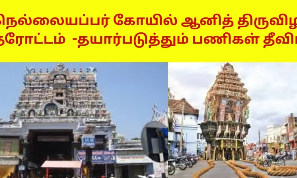நெல்லையப்பர் கோயில் ஆனித் திருவிழா தேரோட்டம்-தயார்படுத்தும் பணிகள் தீவிரம்!