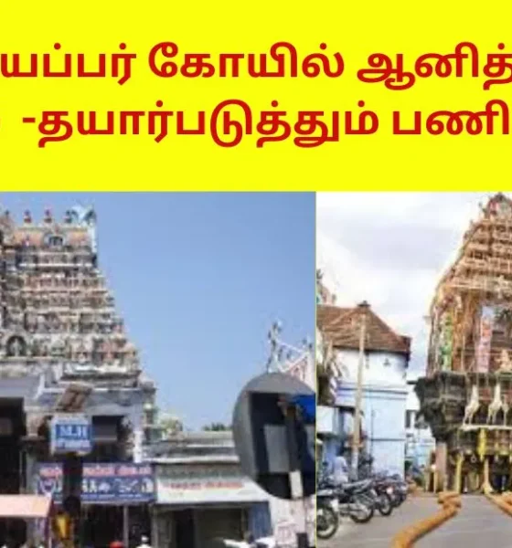 நெல்லையப்பர் கோயில் ஆனித் திருவிழா தேரோட்டம்-தயார்படுத்தும் பணிகள் தீவிரம்!